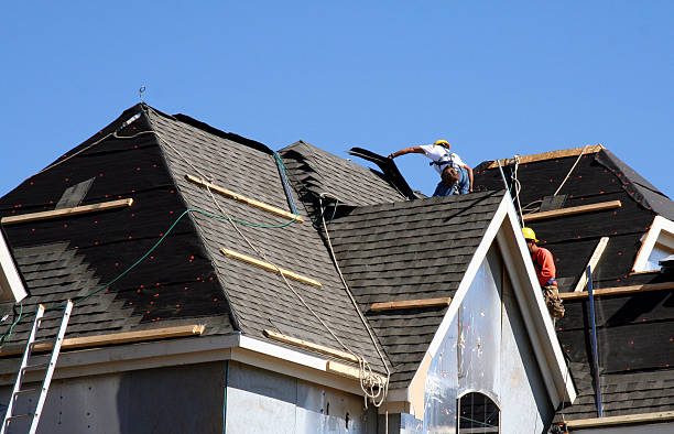 Best Roof Moss and Algae Removal  in Roscoe, TX